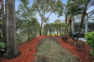 Backyard4