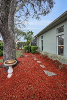 Backyard5