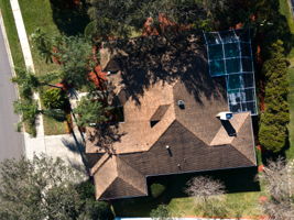 Aerial (14)