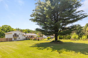  Photo 48