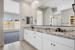 Primary Bathroom (3)