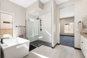 Primary Bathroom (2)