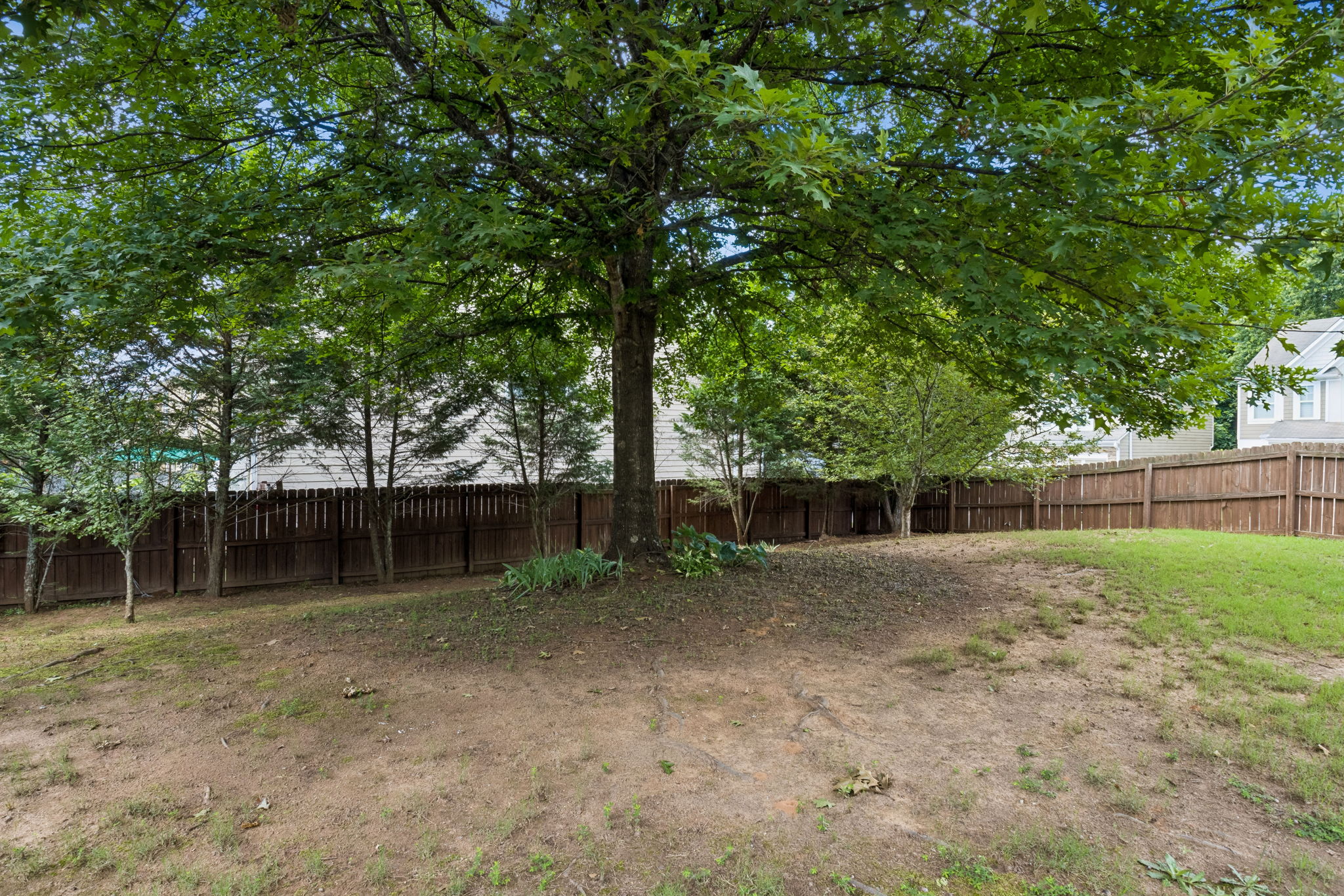 Backyard