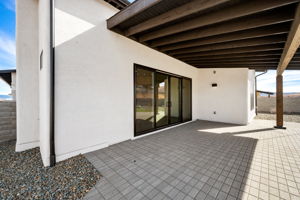 Back Patio (3)
