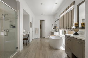 Luxury Master Bath