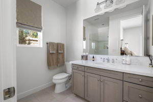 Guest Bath 2