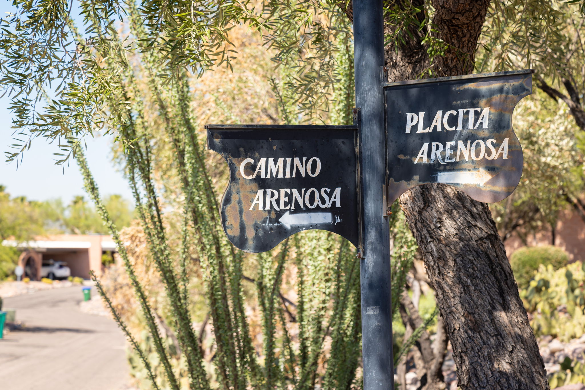 Street Signs