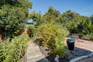 Shoalwood Ave-053