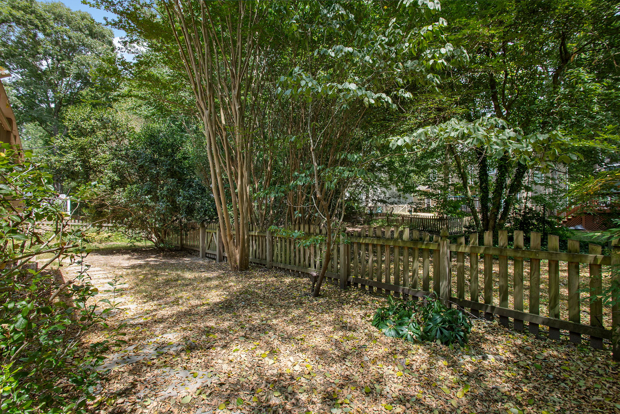 40-Backyard