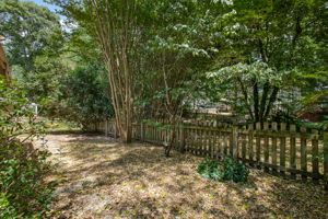 40-Backyard