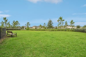Blue Azure Dr-0909-909.jpg