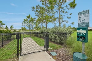 Blue Azure Dr-0909-910.jpg