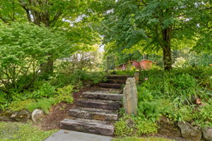 Photo 43