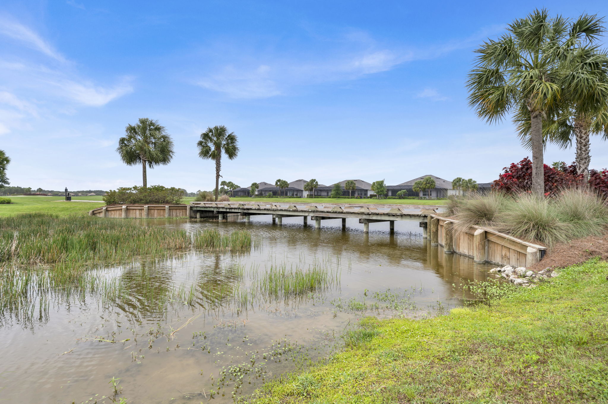Bridge - Golf