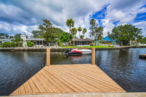 Dock3