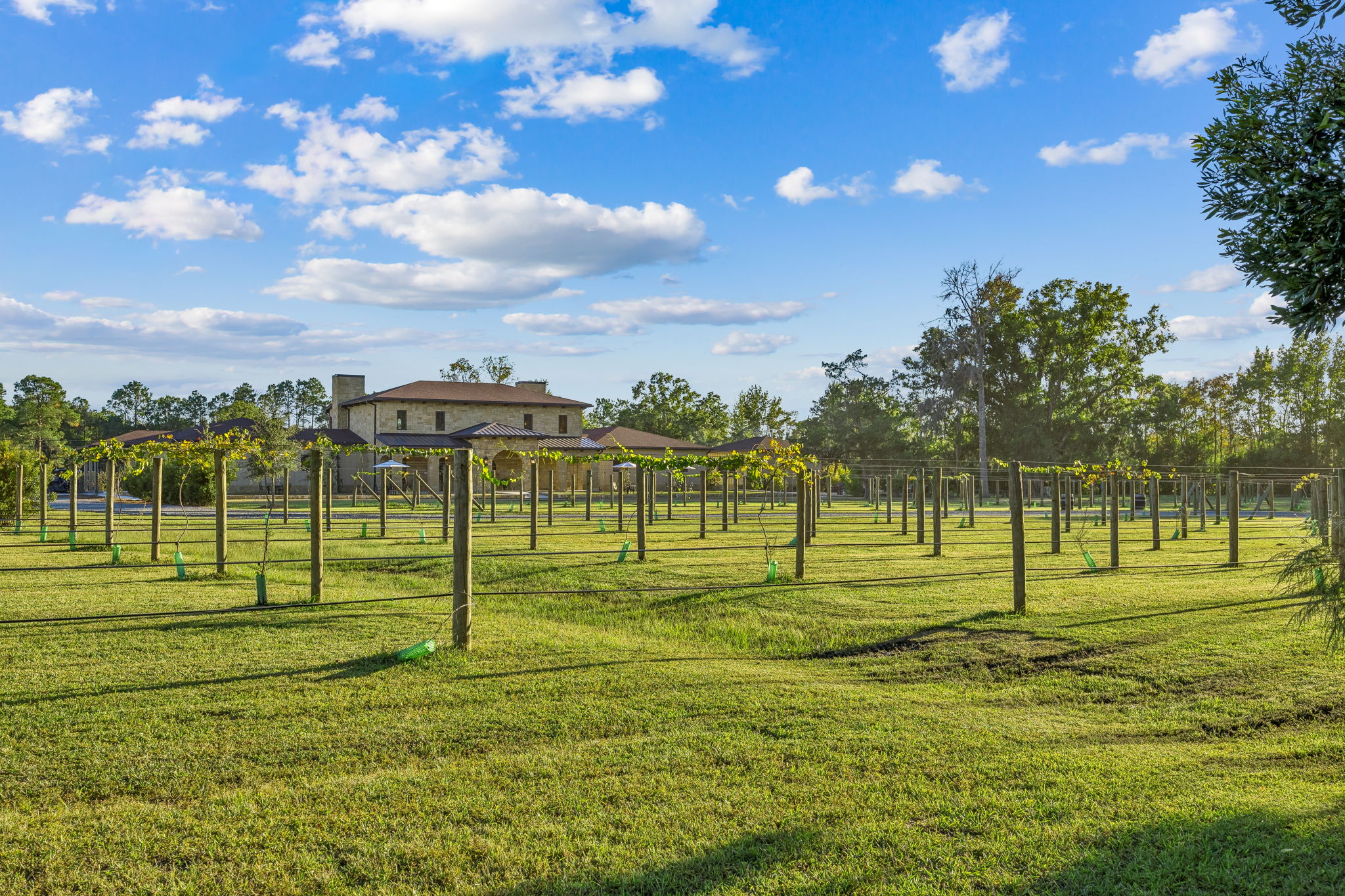 The Winery at Tuscan Rose Vineyards