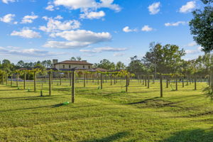The Winery at Tuscan Rose Vineyards