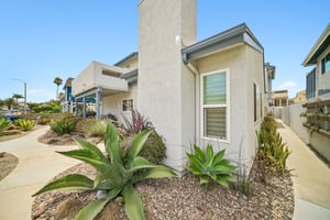 Driftwood St-S1208-002.jpg