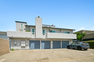 Driftwood St-S1208-039.jpg