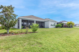  Photo 52