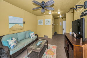 Lower Level Family Room3
