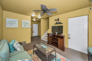 Lower Level Family Room4