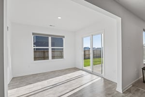 Alder Wy-S0807-019.jpg