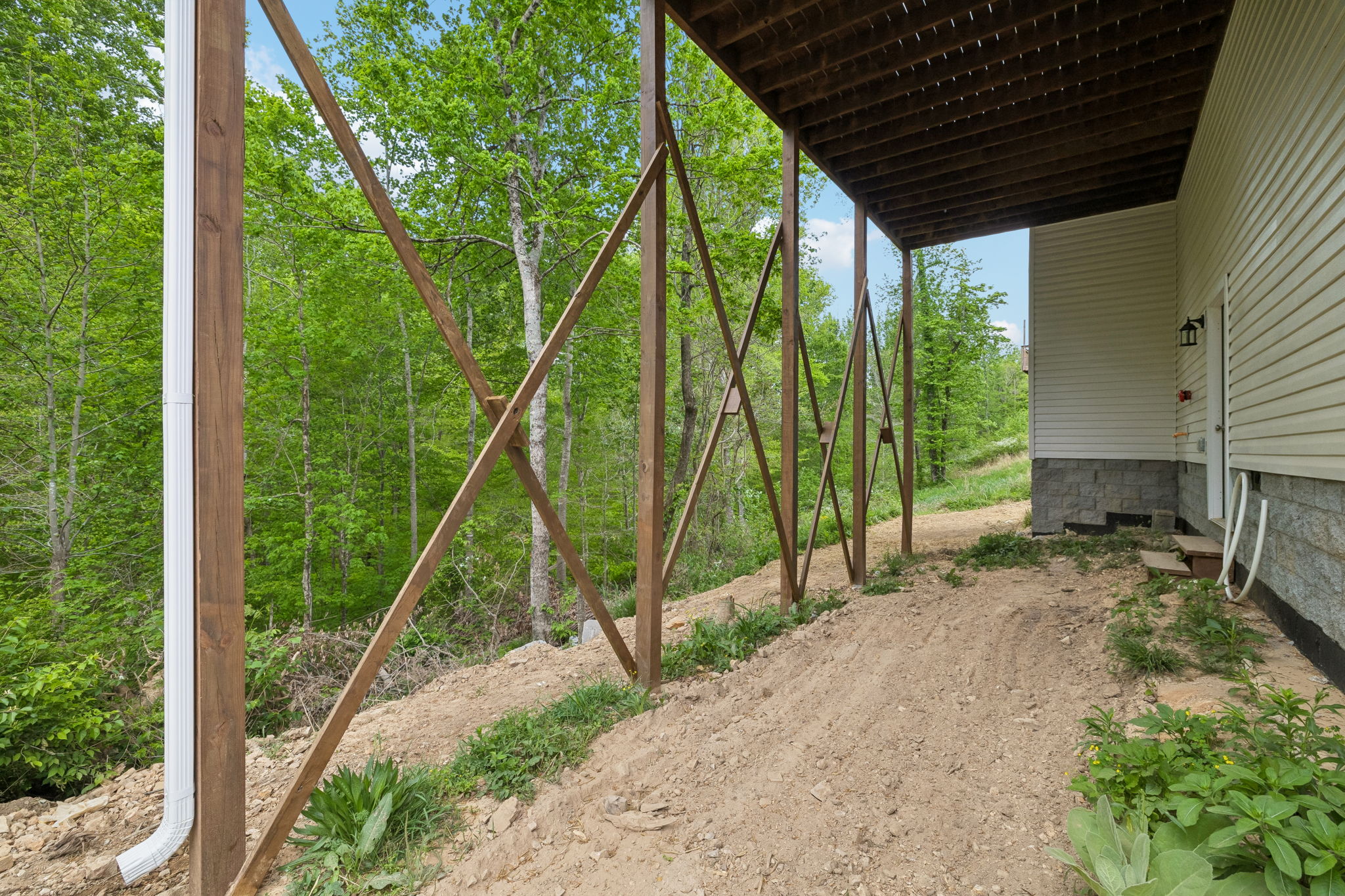  Photo 47