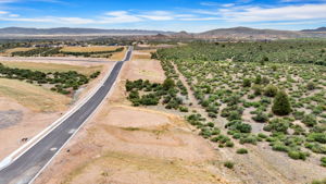 Aerial (6)