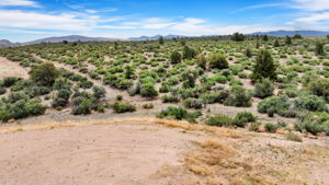 Lot Photo (1)