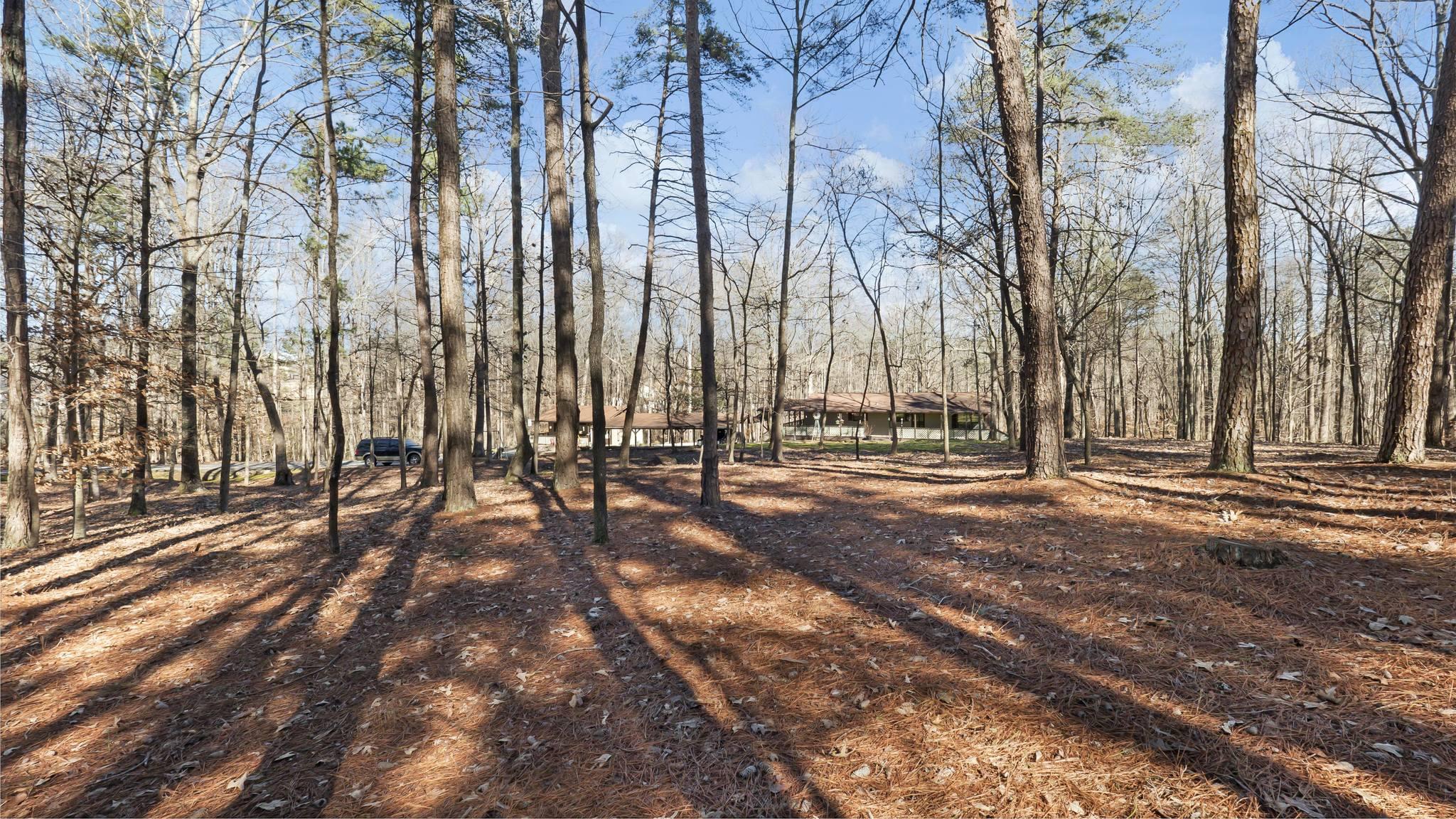  5533 Hog Mountain Rd, Flowery Branch, GA 30542, US Photo 28