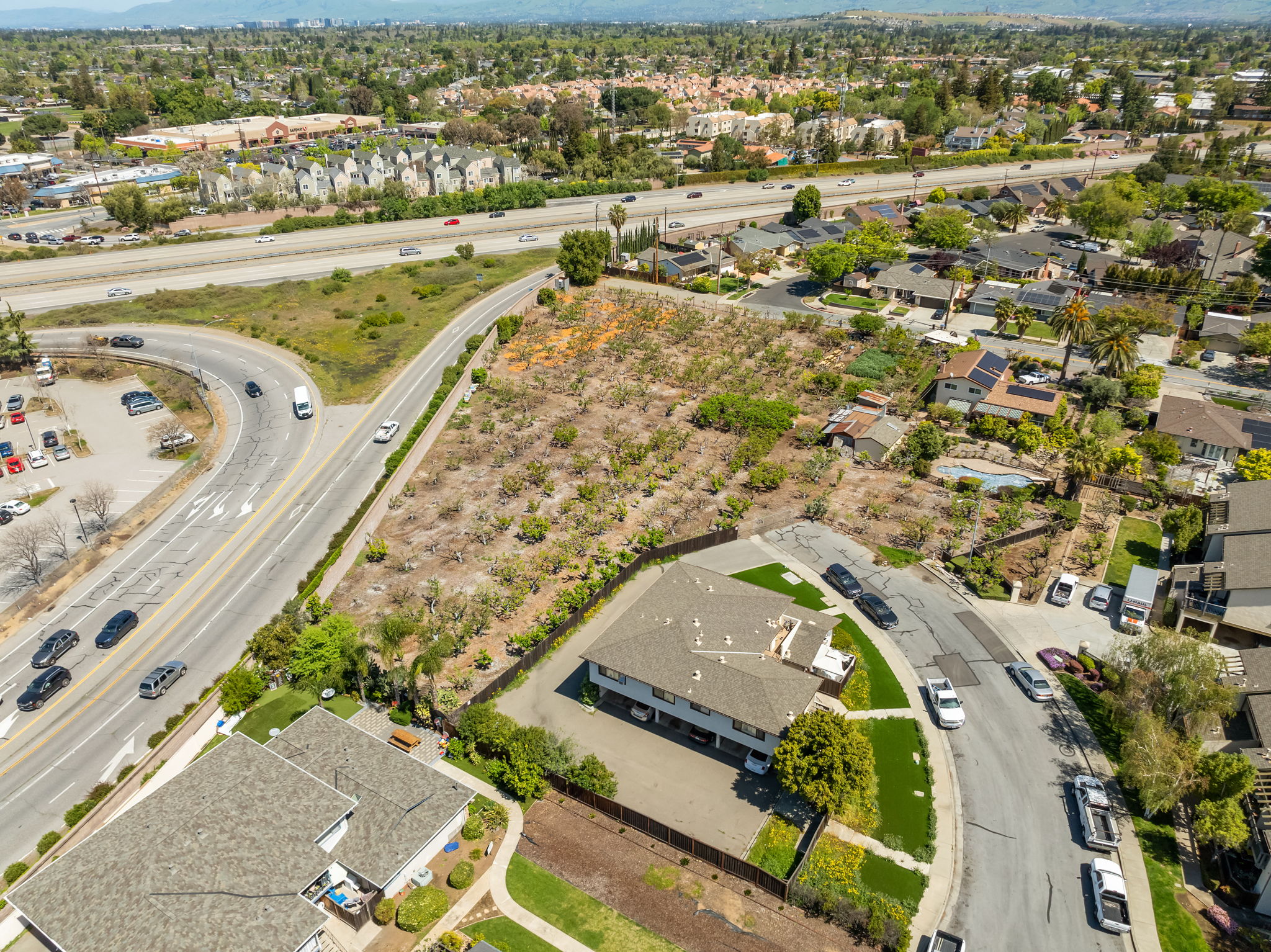 Consentino Family Farm