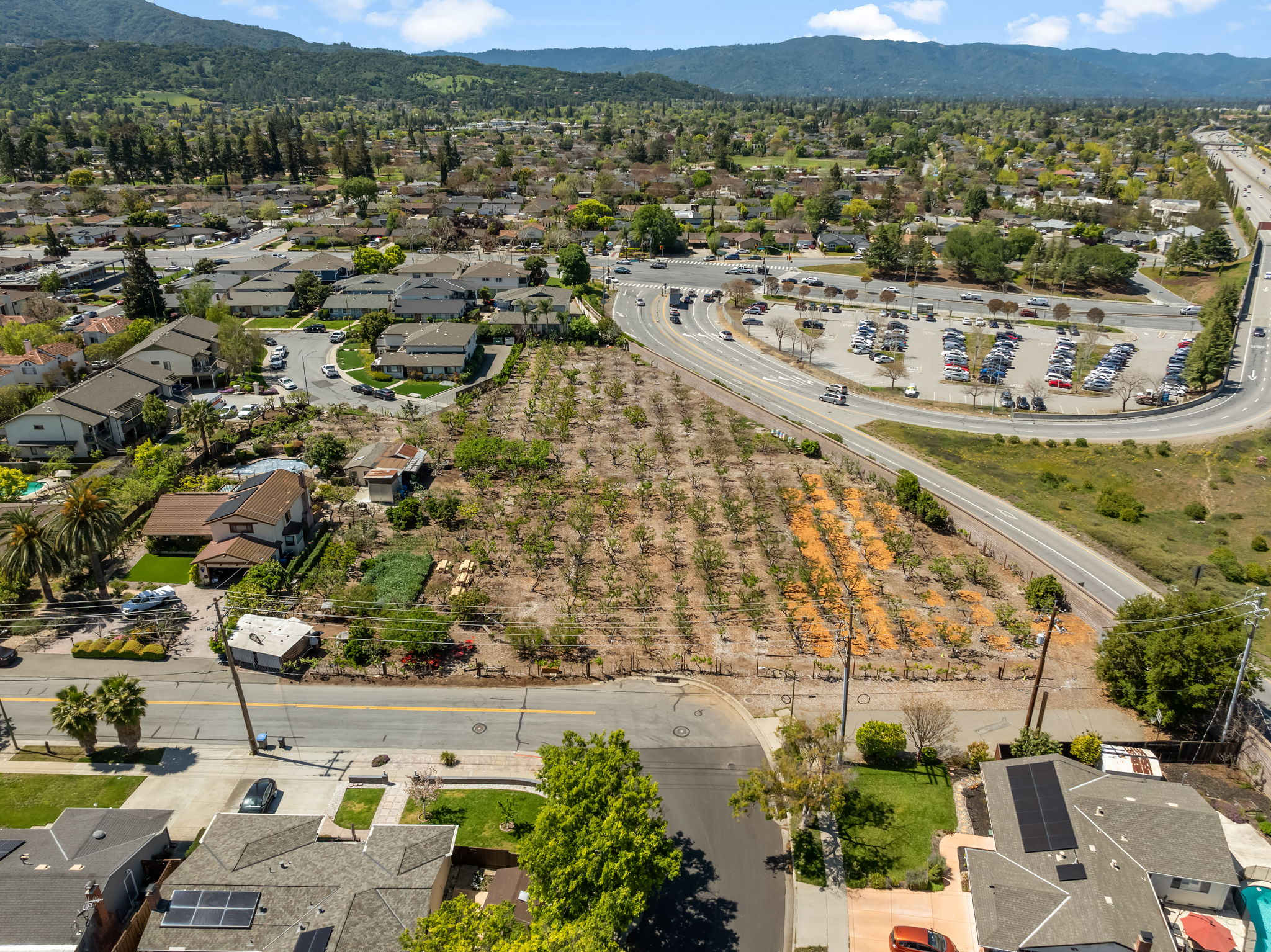 Consentino Family Farm