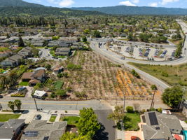 Consentino Family Farm