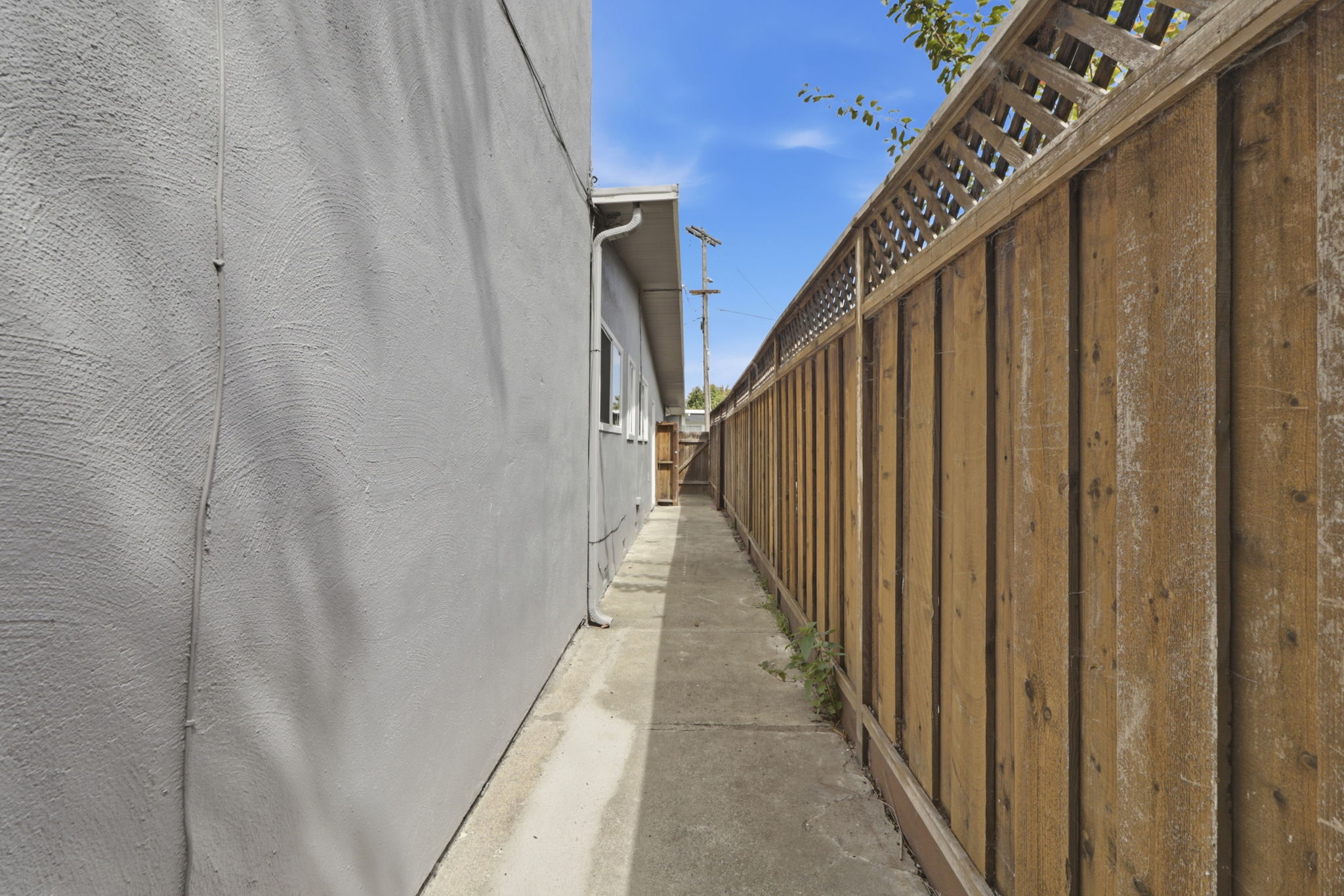  Photo 46