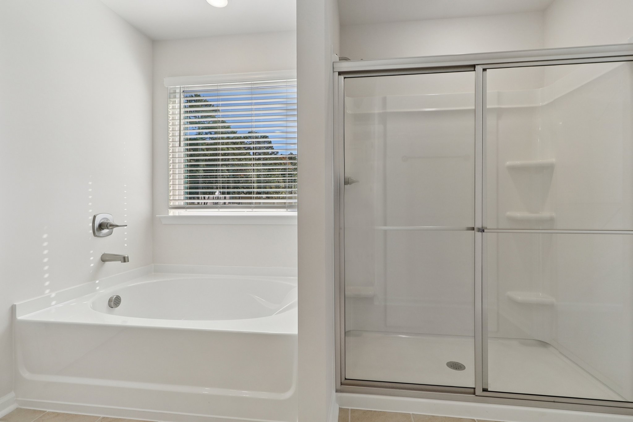 Blue Jay Way-S0111-033.jpg