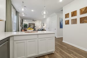 Blue Jay Way-S0111-016.jpg