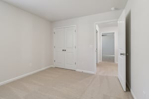 Blue Jay Way-S0111-018.jpg