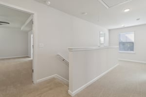 Blue Jay Way-S0111-020.jpg