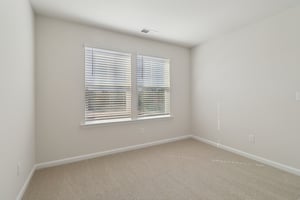 Blue Jay Way-S0111-026.jpg