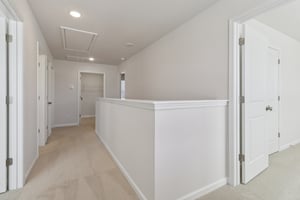 Blue Jay Way-S0111-028.jpg