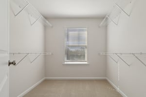 Blue Jay Way-S0111-034.jpg