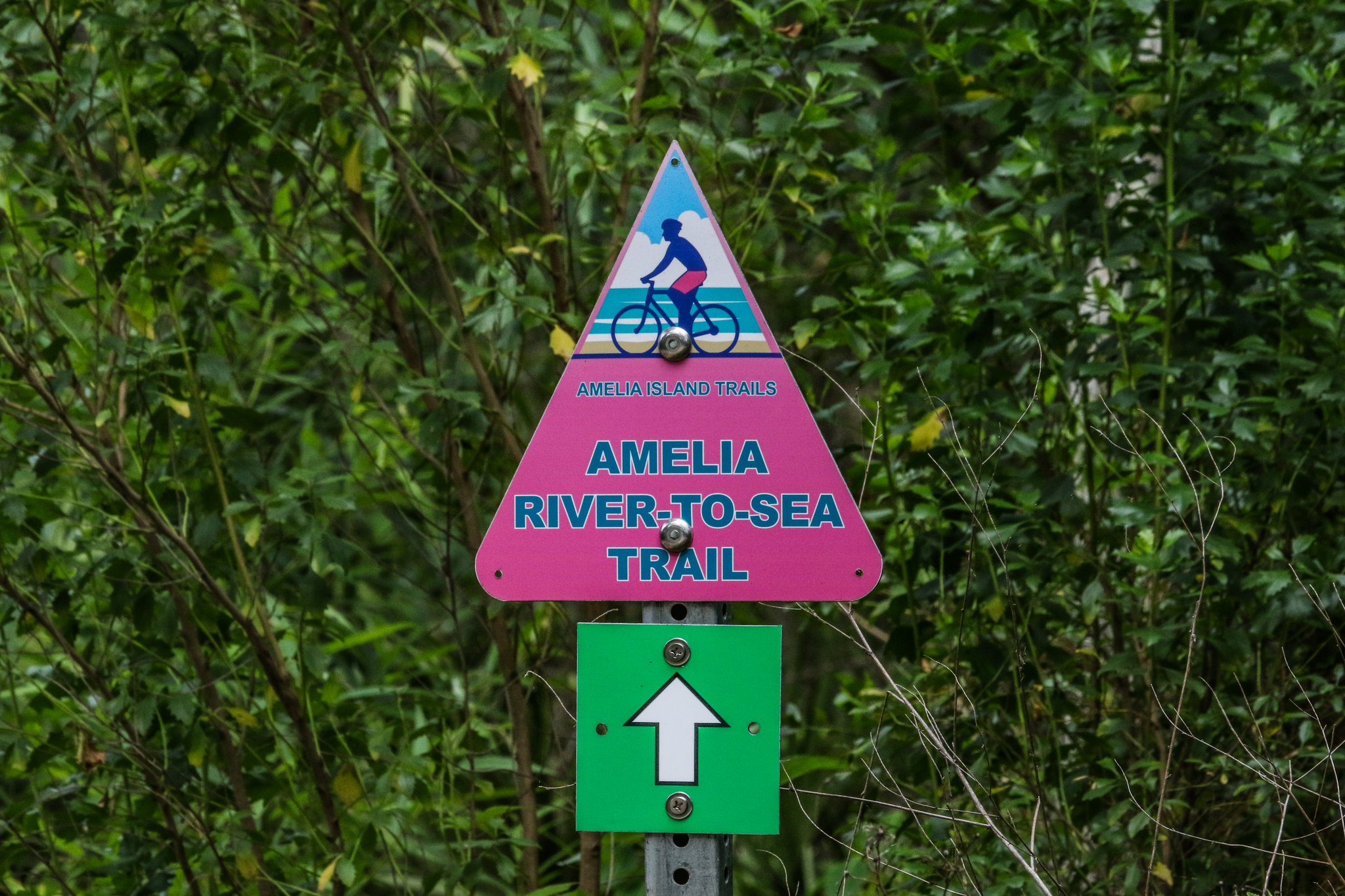 Simmons River to Sea Trail
