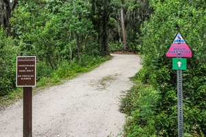 Simmons River to Sea Trail
