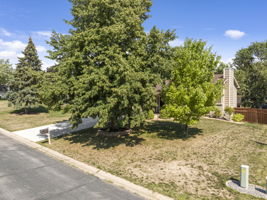  Photo 48