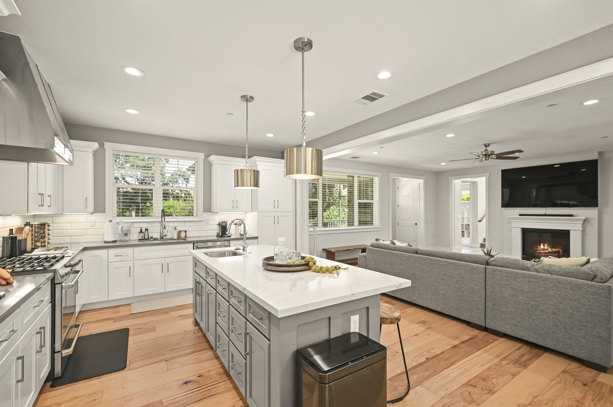 Gas Range & Industrial Hood