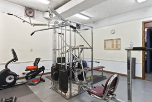  Photo 42