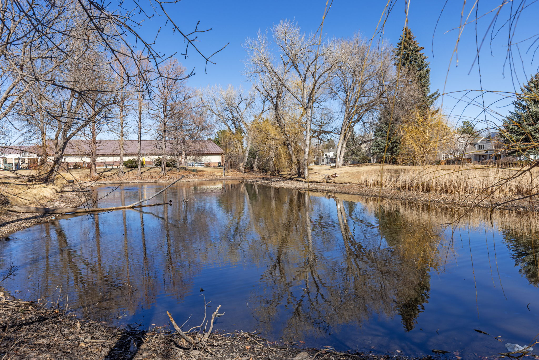 Serene east Boulder area, surrounded by mature trees, ponds and parks.enchanting Stonewall Place, in serene east Boulder, surrounded by mature trees, ponds and parks