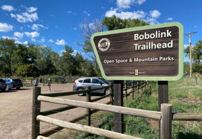 Near Bobolink Trailhead