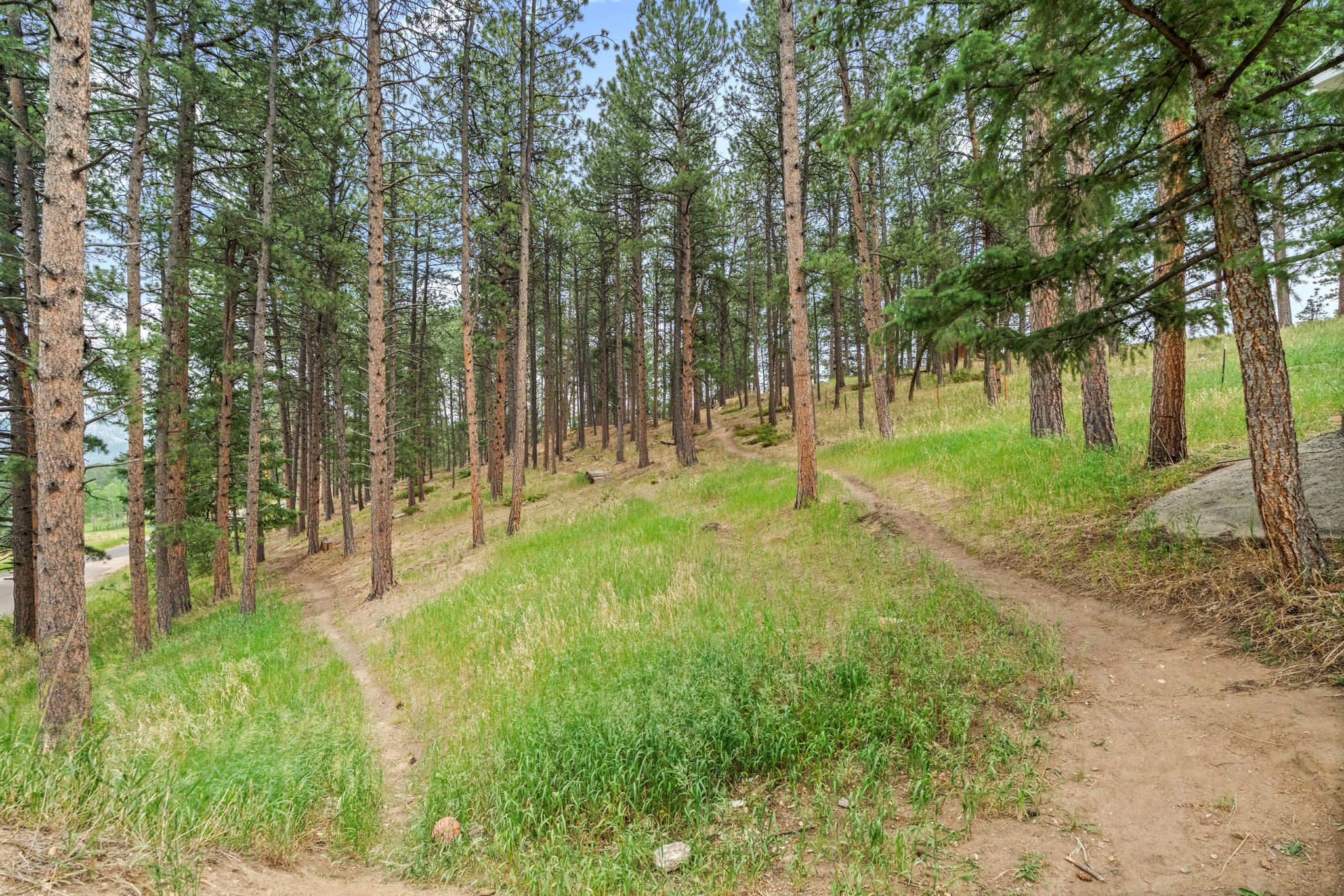  Photo 42